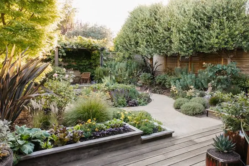 choose compact plants