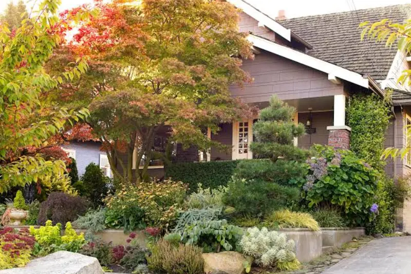 install beautiful walkways