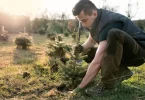 outdoor plant care