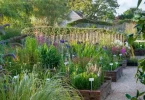 plant buying guide