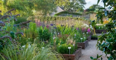plant buying guide