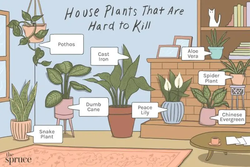 why plant care matters